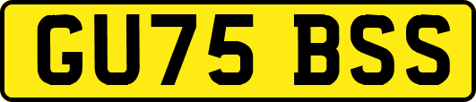 GU75BSS