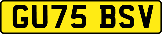 GU75BSV