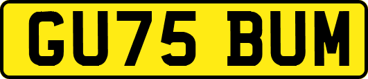 GU75BUM