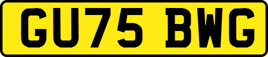 GU75BWG