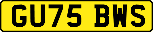 GU75BWS