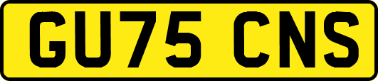 GU75CNS