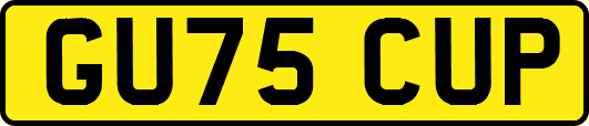 GU75CUP