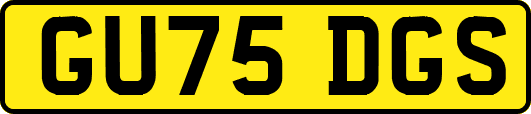 GU75DGS