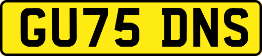 GU75DNS