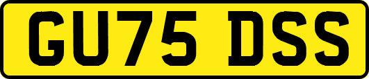GU75DSS
