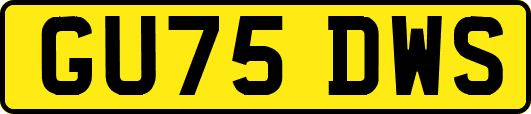 GU75DWS