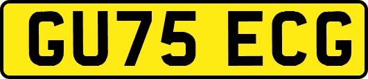 GU75ECG