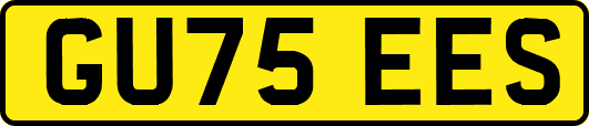 GU75EES