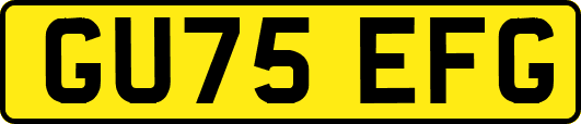 GU75EFG