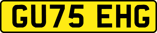 GU75EHG