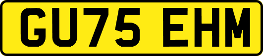 GU75EHM