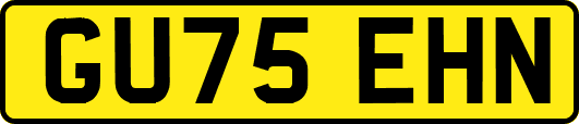 GU75EHN