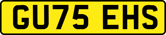 GU75EHS