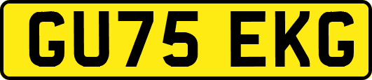 GU75EKG
