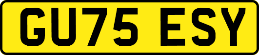 GU75ESY