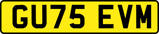 GU75EVM