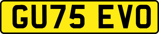 GU75EVO