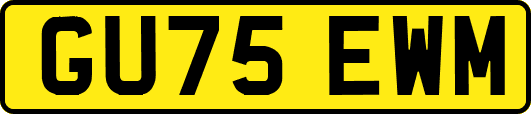 GU75EWM