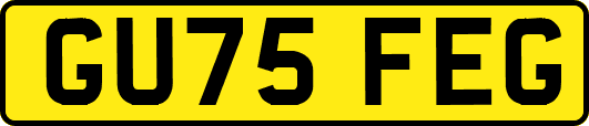 GU75FEG