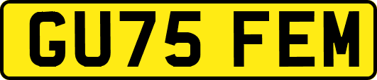 GU75FEM