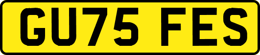 GU75FES