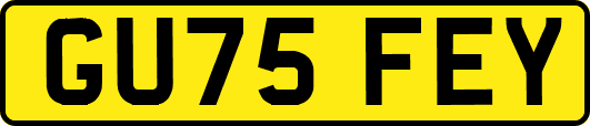GU75FEY
