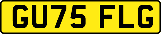 GU75FLG