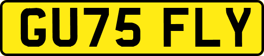 GU75FLY