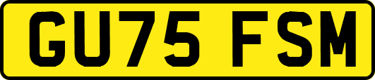 GU75FSM