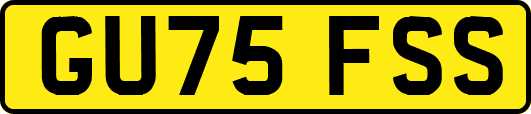 GU75FSS