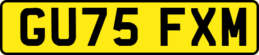 GU75FXM