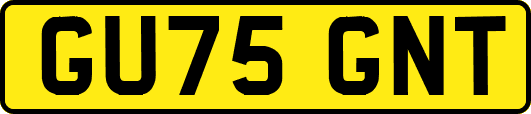 GU75GNT