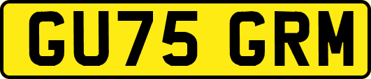 GU75GRM