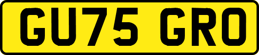 GU75GRO