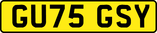 GU75GSY