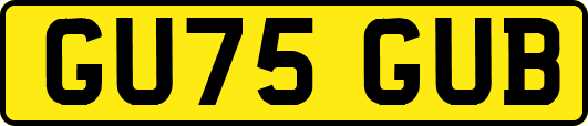 GU75GUB