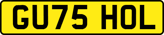 GU75HOL