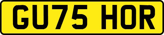 GU75HOR