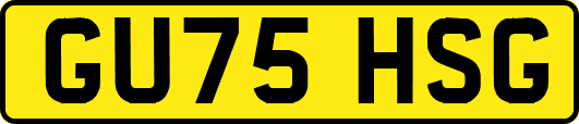 GU75HSG