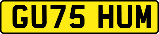 GU75HUM