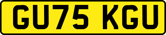 GU75KGU