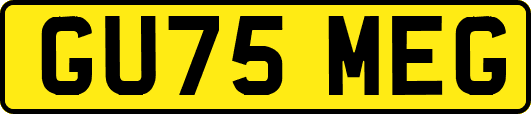GU75MEG