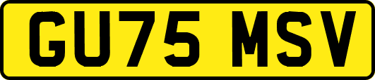 GU75MSV