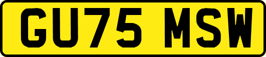 GU75MSW