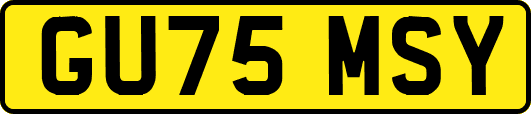 GU75MSY