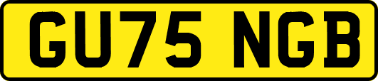 GU75NGB