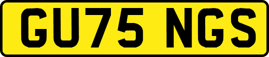 GU75NGS