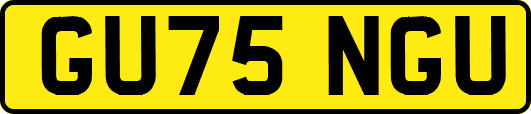 GU75NGU