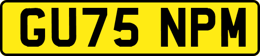 GU75NPM